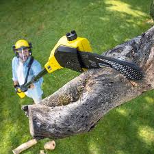 Best Commercial Tree Services  in Keokea, HI